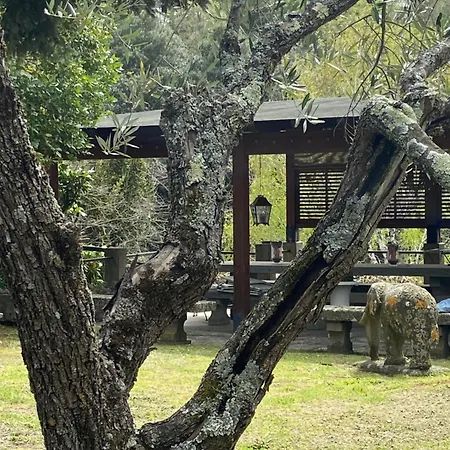 别墅 Il Castelletto Della Palanzana *